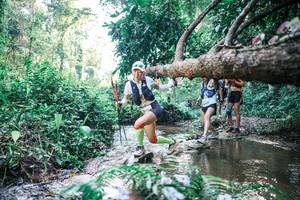 BIB: 
                            <button type="button" onclick="openModal(25435315)" class="btn btn-primary btn-sm float-right btn-popup" data-toggle="modal" data-target=".modal-high-quality">
                        <i class="fas fa-shopping-cart"></i> Add to Cart
                    </button>
                                            <button type="button" onclick="isThisMe(25435315, true)" class="btn btn-success btn-sm float-right btn-popup btn-isme hidden" data-toggle="tooltip" data-placement="bottom" title="นี่คือรูปของคุณใช่ไหม คลิกที่นี่เพื่อเอาเข้าอัลบั้ม">
                        <i class="fas fa-plus"></i> Add to album
                    </button>
                    <button type="button" onclick="isThisMe(25435315, false)" class="btn btn-warning btn-sm float-right btn-popup btn-isnotme hidden">
                        <i class="fas fa-ban"></i> Remove from album
                    </button>